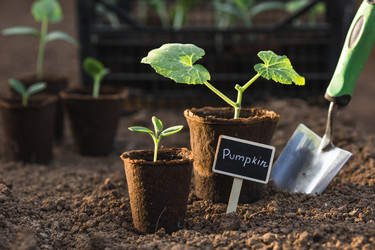 Similar image 22151364