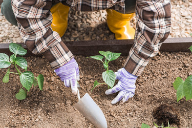 Similar image 22151365