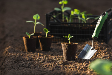 Similar image 22151366