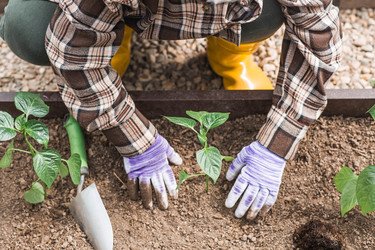 Similar image 22151367