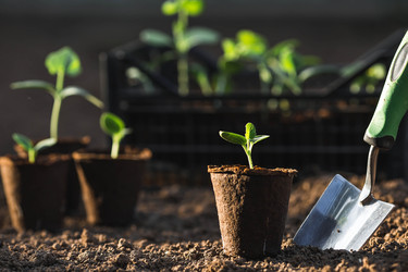 Similar image 22151368