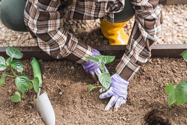 Similar image 22151369