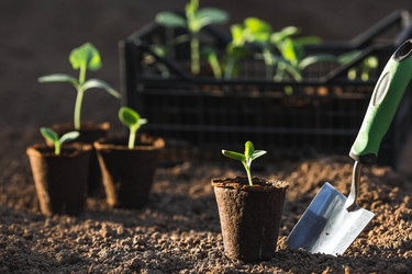 Similar image 22151370