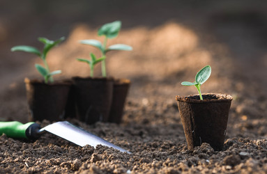 Similar image 22151372