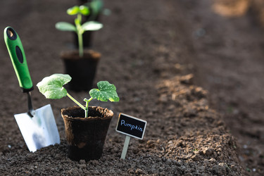 Similar image 22151373