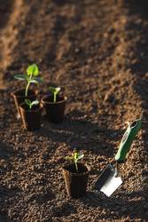 Similar image 22151374