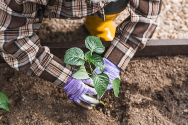 Similar image 22151375