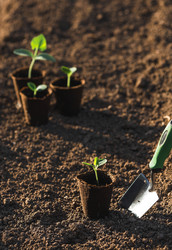 Similar image 22151376