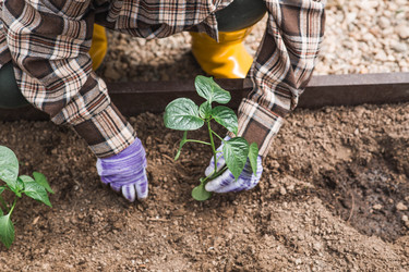 Similar image 22151377