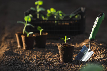 Similar image 22151378