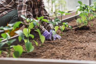 Similar image 22151379