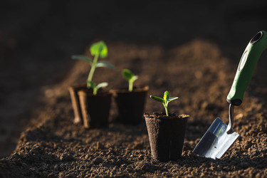 Similar image 22151380