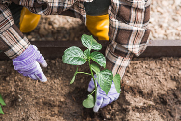 Similar image 22151381