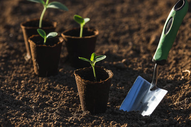 Similar image 22151382