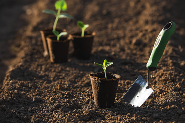 Similar image 22151383