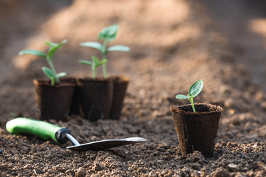 Similar image 22151384