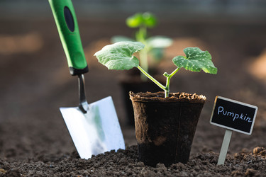 Similar image 22151385