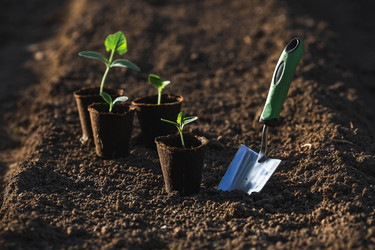 Similar image 22151386