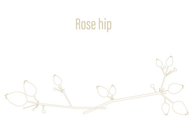 Similar image 22142722