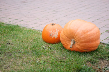 Similar image 22142731