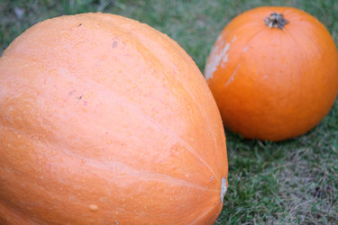 Similar image 22142733