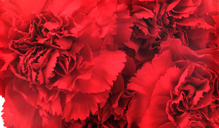 Similar image 22142735