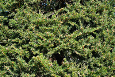 Similar image 22142737