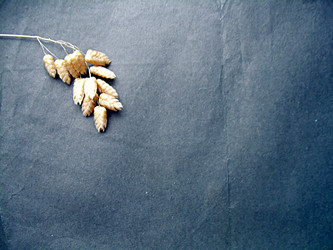 Similar image 22150255