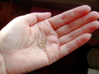 Similar image 22150263