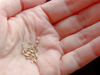 Similar image 22150264