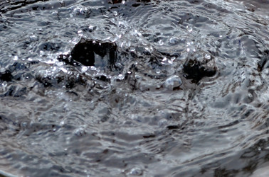 Similar image 22150275