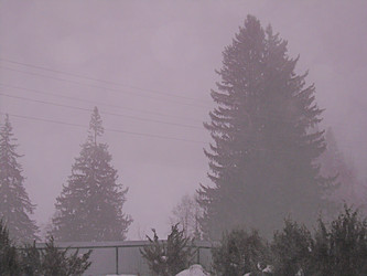 Similar image 22150277