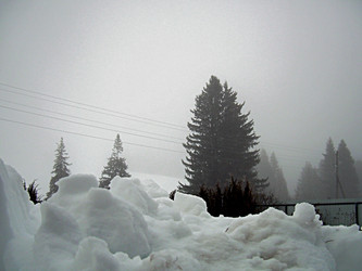 Similar image 22150280