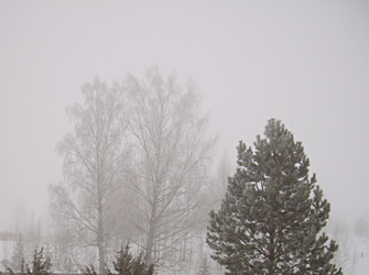 Similar image 22150283