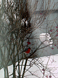 Similar image 22150286