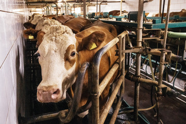 Similar image 22160147