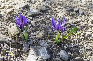 Similar image 22142695