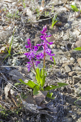 Similar image 22142697