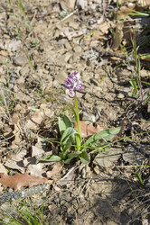 Similar image 22142698