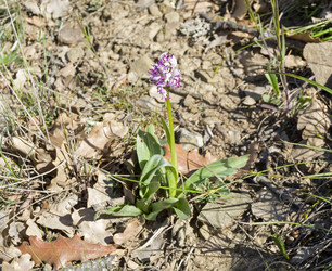 Similar image 22142699