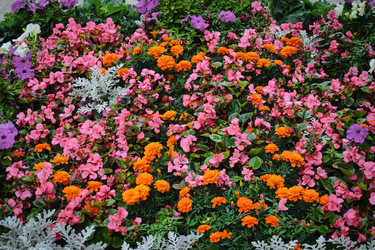 Similar image 22147934