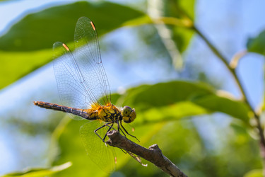 Similar image 22155317