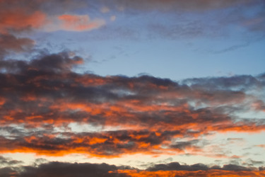 Similar image 22155318