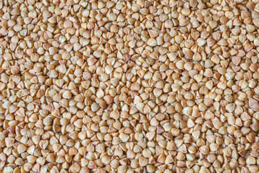 Similar image 22155324