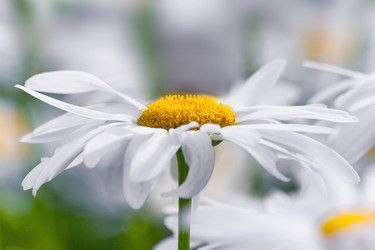 Similar image 22155532