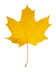 Similar image 22148506