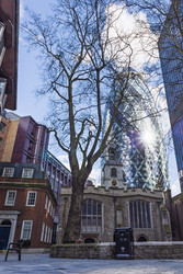 Similar image 22150290