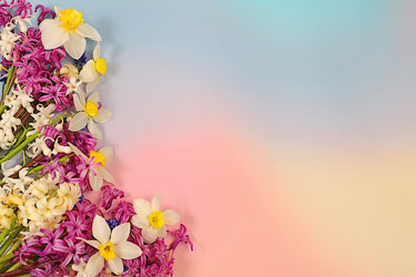 Similar image 22148846