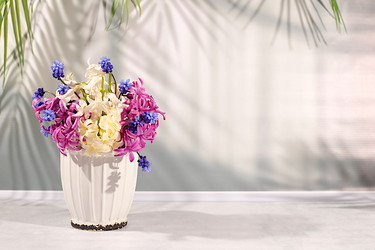 Similar image 22148851