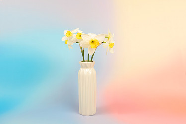 Similar image 22148854